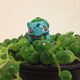 Illustration for article titled Project Bulbasaur Botany: Succulents